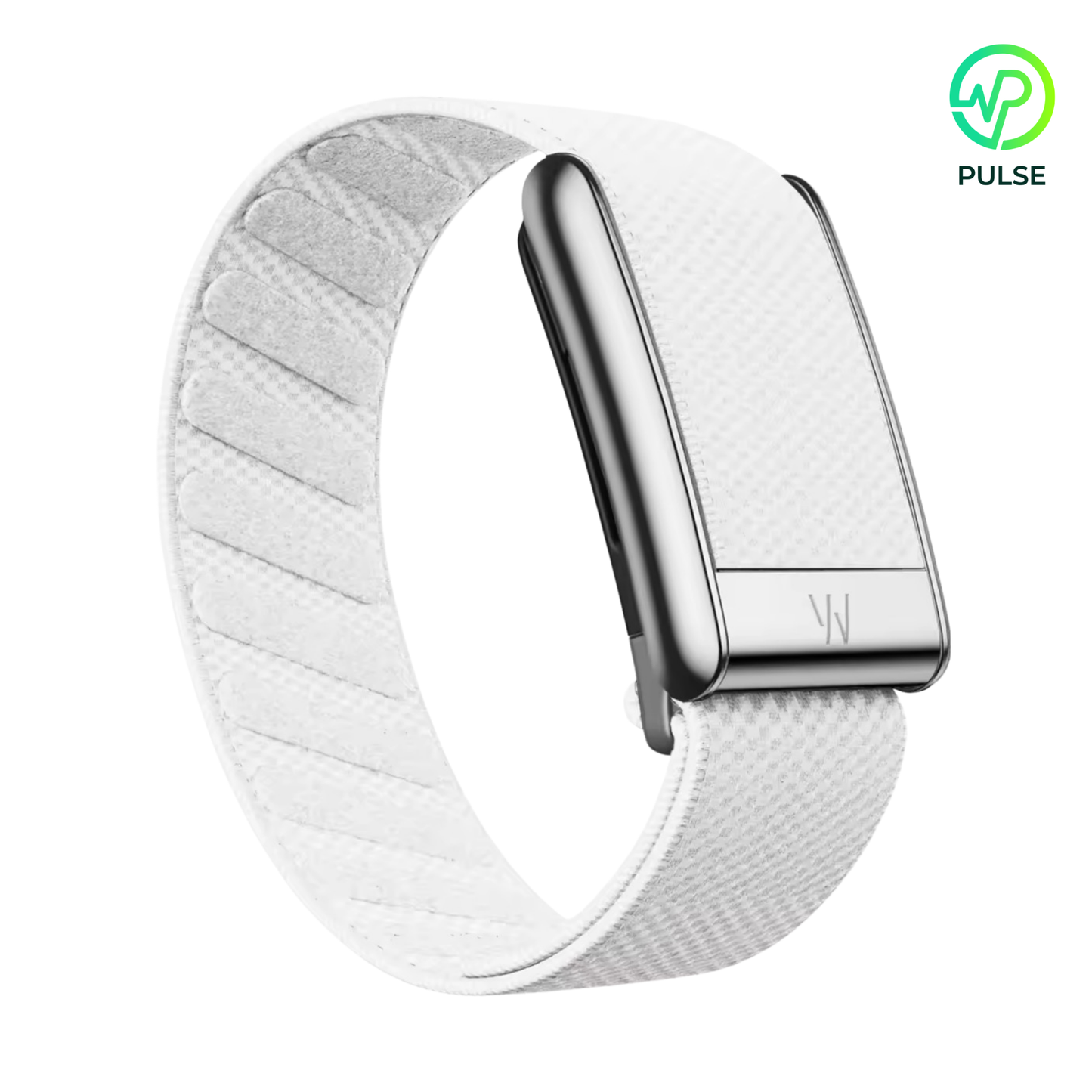 White Silver Buckle