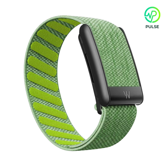 Lime Black Buckle
