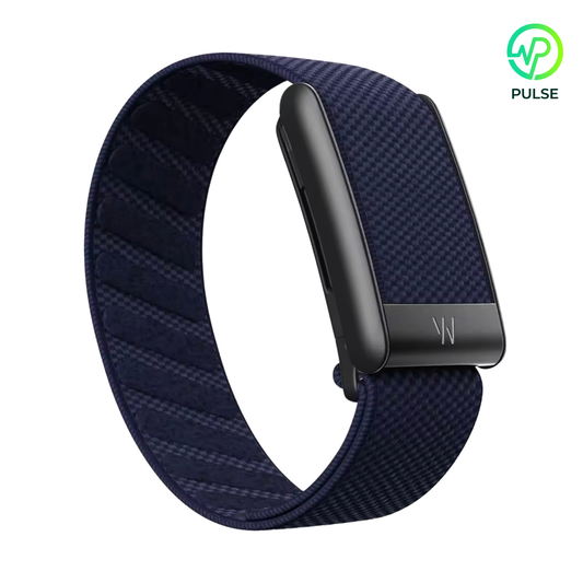Midnight Black Buckle