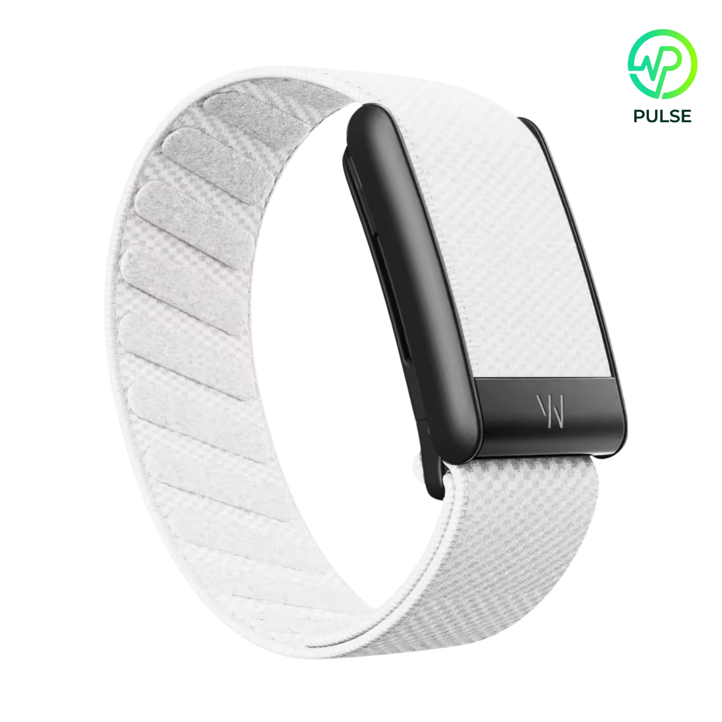 White Black Buckle