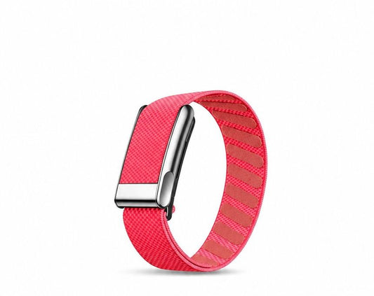 Rose Red Silver Buckle