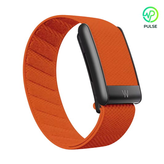 Orange Black Buckle
