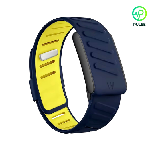 Dark Blue Yellow SportFlex — Black Buckle