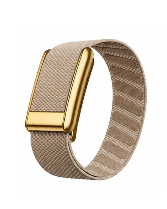 Starlight Gold Buckle