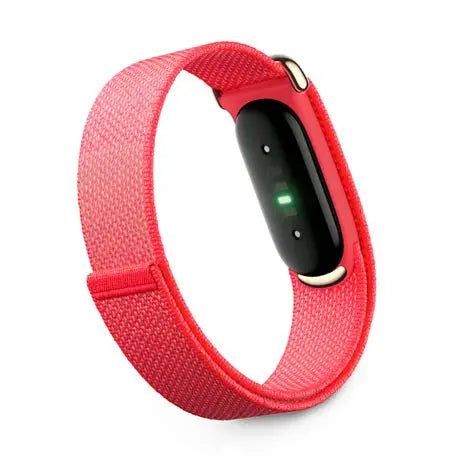 Google Fitbit Air Berry